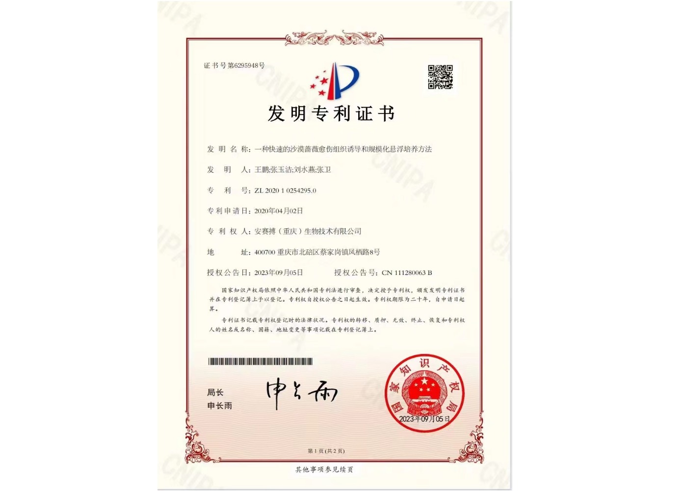 Patent of Invention