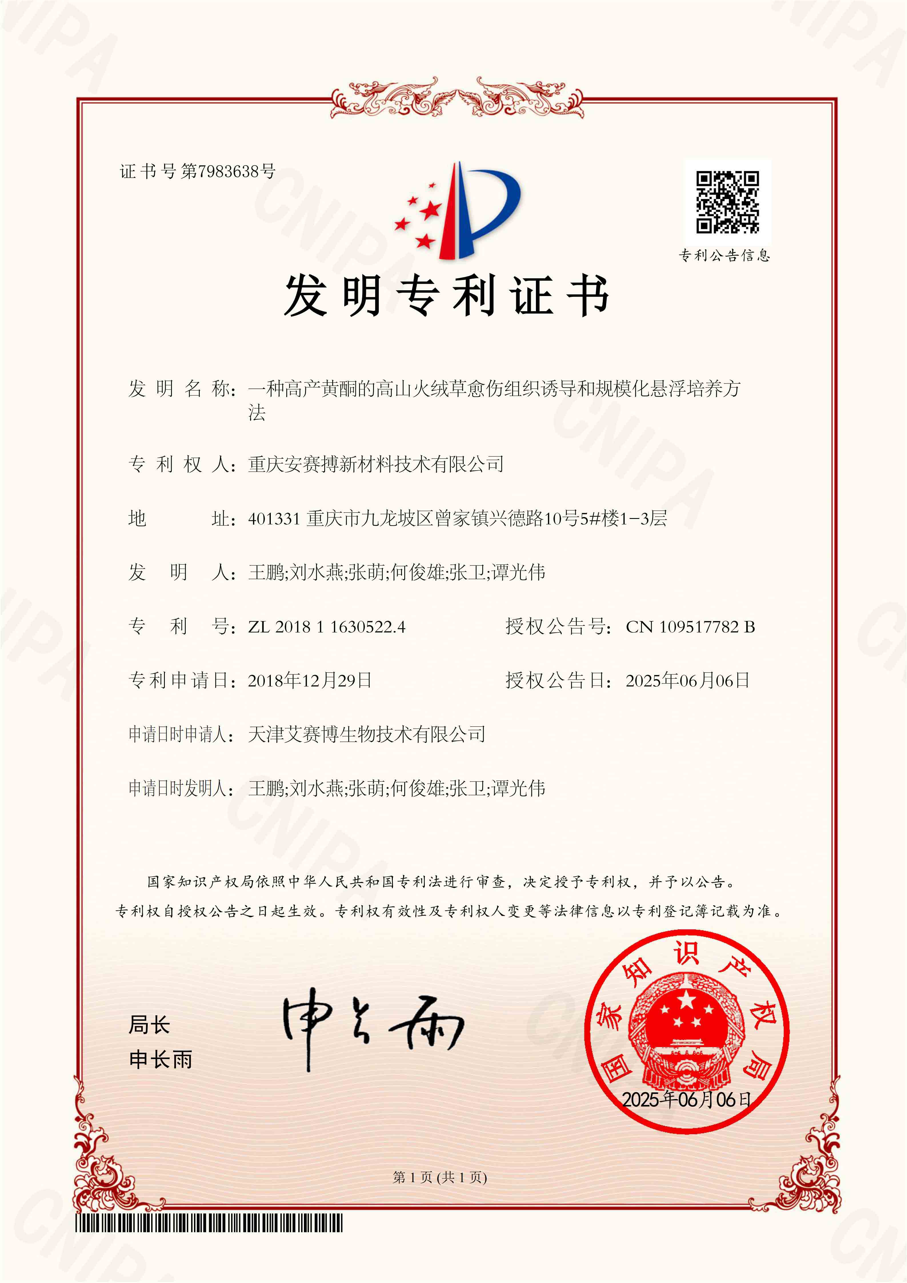 发明专利-高山火绒草